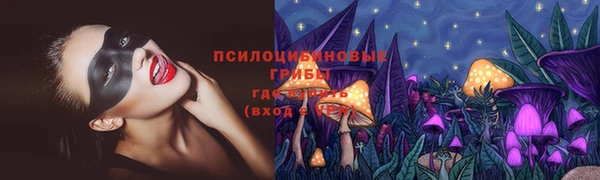 стаф Лабытнанги
