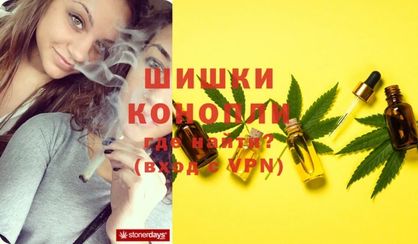 стаф Лабытнанги