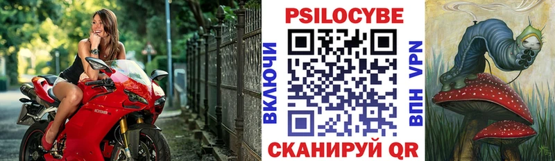 Купить где  Красавино  Галлюциногенные грибы Psilocybe 